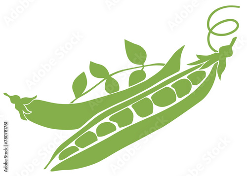 Green Peas Vector Illustration of Fresh Pods with Vines and Leaves on White Background