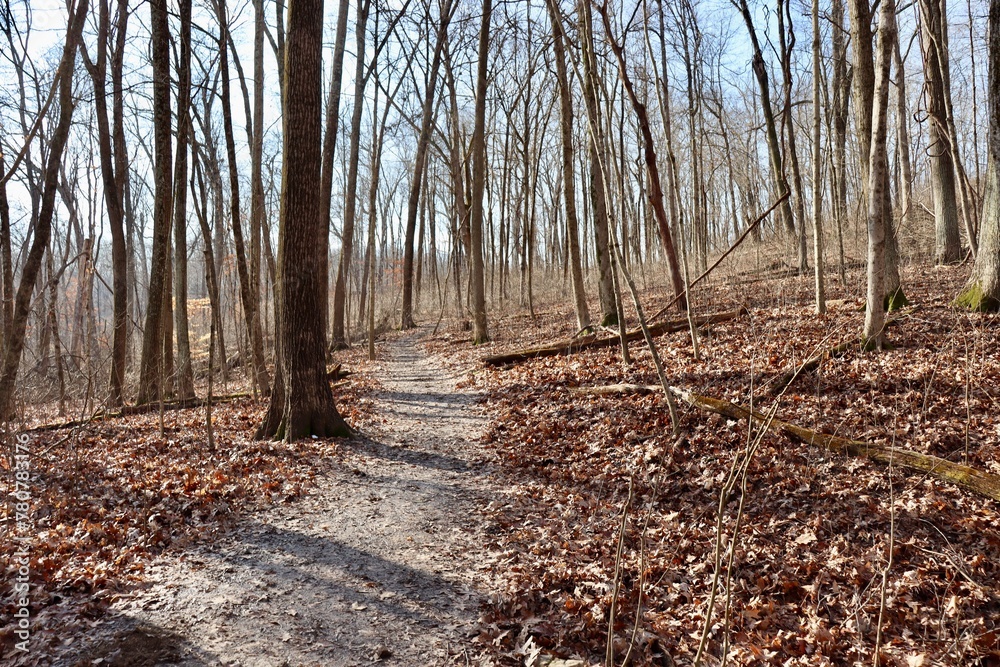 The empty hiking trail on a sunny day. The empty hiking trail on a sunny day.