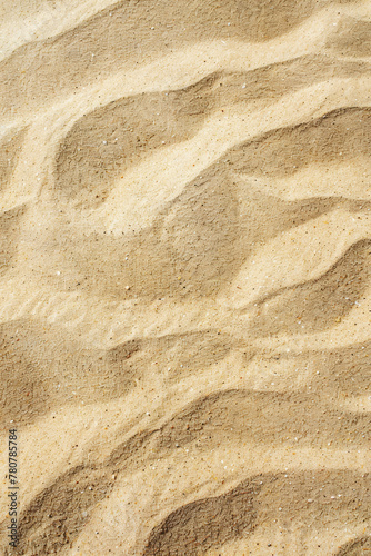 Tranquil Beige Sand with Intricate Natural Designs