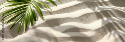 An elegant palm leaf casts a beautiful pattern of shadows on the textured surface of white sand, evoking a sense of calm and tropical serenity #780786726