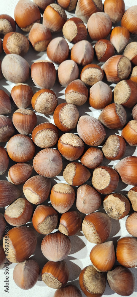 background consisting of hazelnut grains background consisting of hazelnut grains