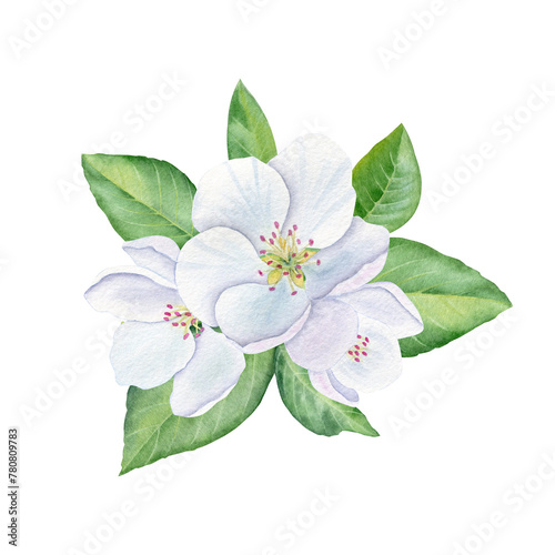 Composition with white flowers. Template for wedding and greeting cards.
