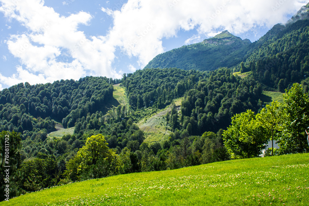 Fototapeta premium Panoramic landscape - green mountains with trees on a sunny summer day in Krasnaya Polyana, Russia. Concept trekking and hiking on vacation