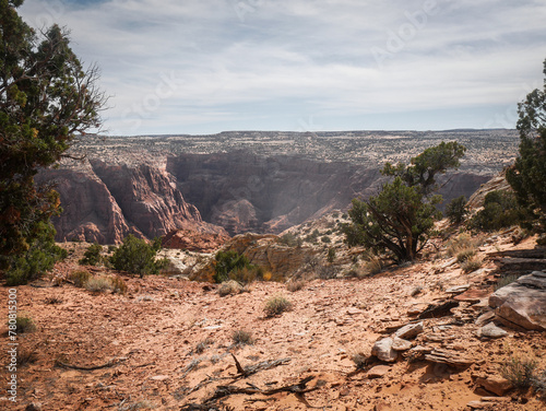 Paria River Canyon in Vermillion Cliffs National Monument in Page Arizona