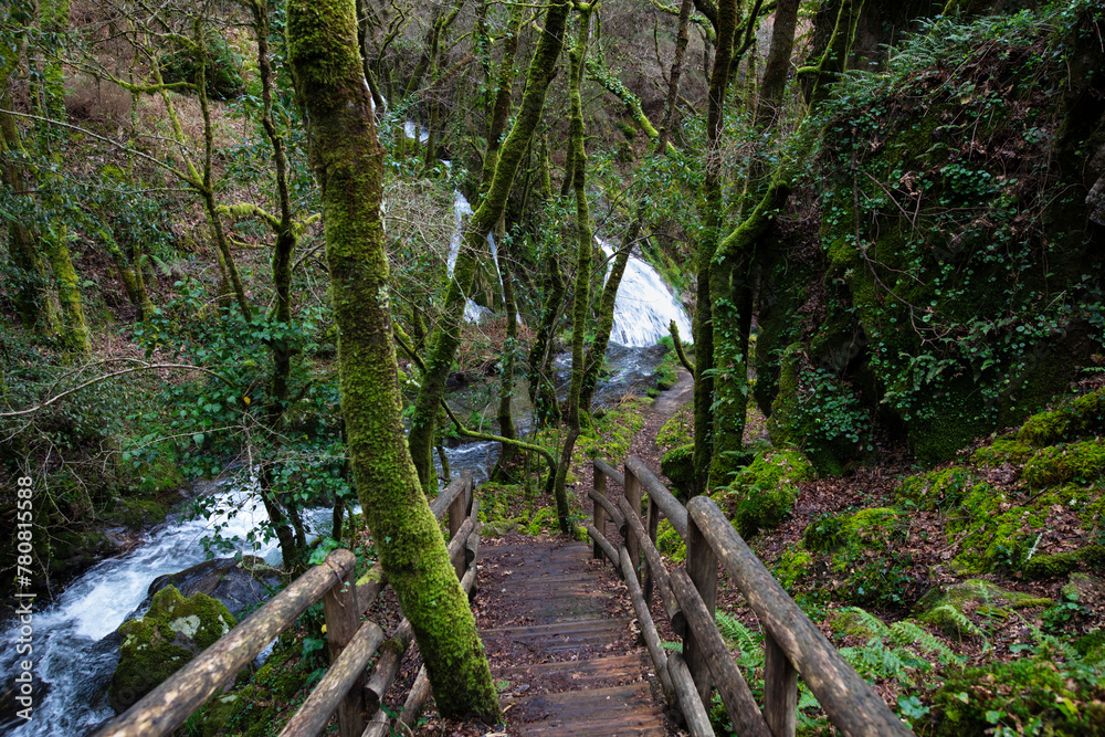 Wooden walkway at the Raxoi and Parafita waterfalls around the Raxoi river in Valga, Pontevedra. ribeira forest Wooden walkway at the Raxoi and Parafita waterfalls around the Raxoi river in Valga, Pontevedra. ribeira forest