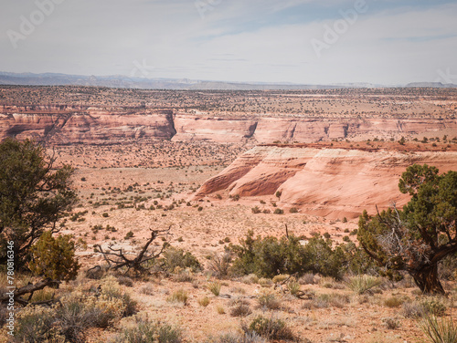Pink sandstone buttes in Vermillion Cliffs National Monument in Page Arizona