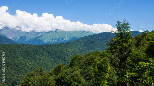 Beautiful panoramic mountain landscape with green trees and mountain slopes on a sunny summer day in Krasnaya Polyana in Russia