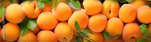 A bunch of ripe apricots with a few green leaves. photo