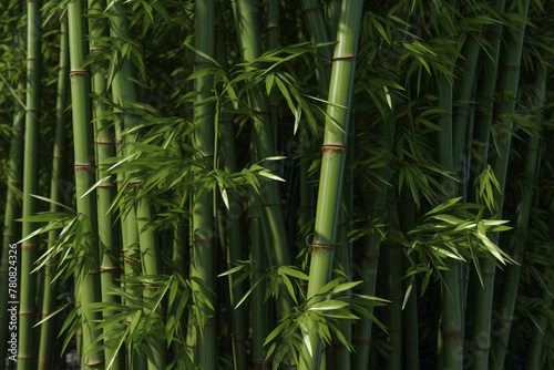 bamboo forest   - Generative AI 