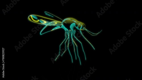 Rendering 3D animation, VISUAL EFFECTS Mosquito Model on a black background