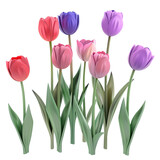 3d render illustration of plastic tulip flowers on transparent background, png	