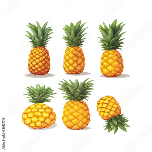 Pineapple fruit set. Tropical sweet ananas collection in different styles. Vector illustration isolated on white.