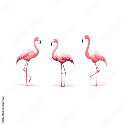 Flamingo   Minimalist and Simple set of 3 Line White background - Vector illustration