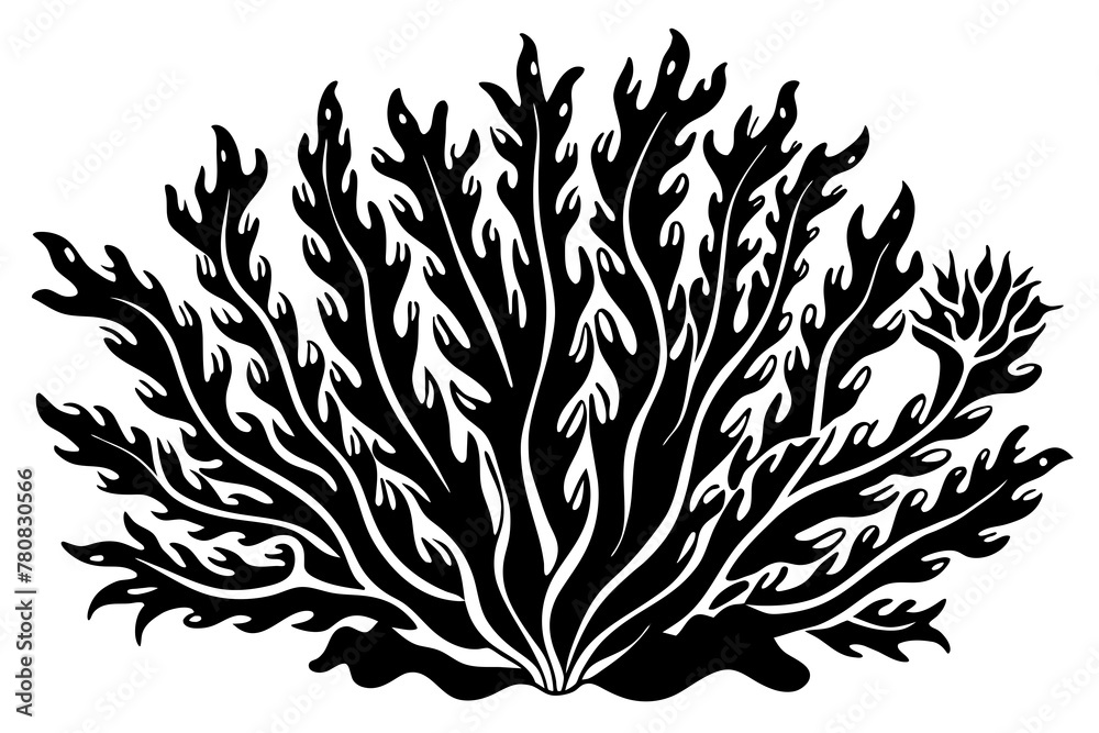 seaweed--vector-illustration seaweed--vector-illustration
