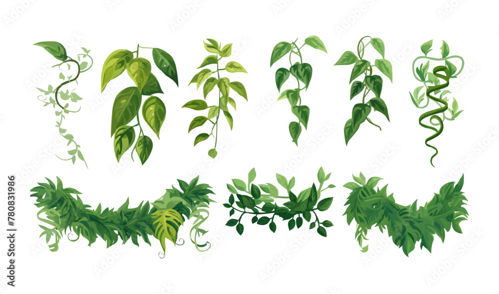 Tropical vines vegetation vector set isolated on white Tropical vines vegetation vector set isolated on white
