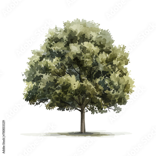 Vector watercolor green tree or forest side view isolated on white background for landscape and architecture drawing,elements for environment or garden,botanical element for exterior section in spring