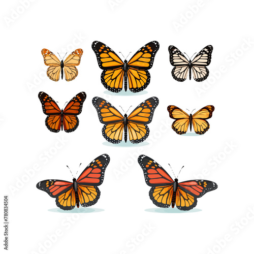 Monarch butterflies set. Vector illustration isolated on white background