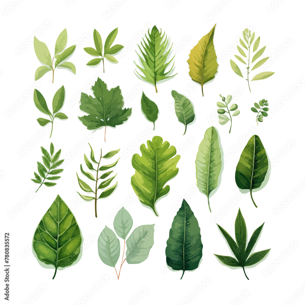 Hand drawn vector illustrations of 18 green leaves Hand drawn vector illustrations of 18 green leaves