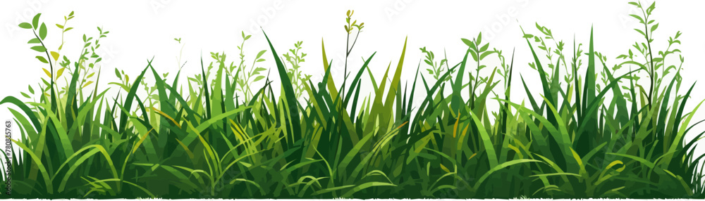 Naklejka premium Green grass vector isolated design