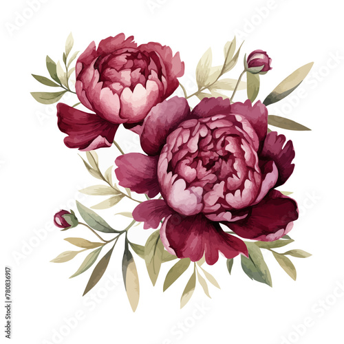 watercolor burgundy peony clipart for graphic resources photo