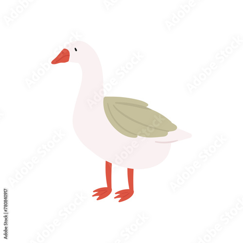 Goose farm bird. Poultry farming, goose eggs and meat products flat vector illustration