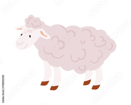 Sheep animal farm. Farming activity, ranch animal growing flat vector illustration