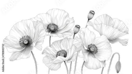 A bunch of white flowers on a plain white background. Ideal for floral design concepts