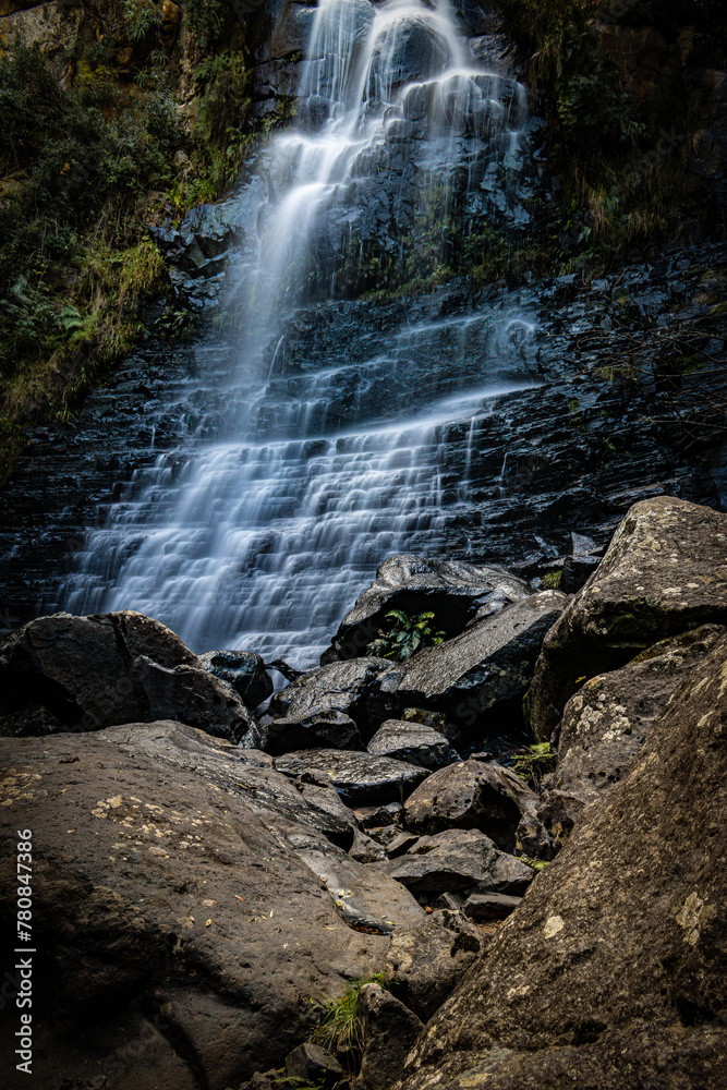 Obraz premium waterfall in the forest
