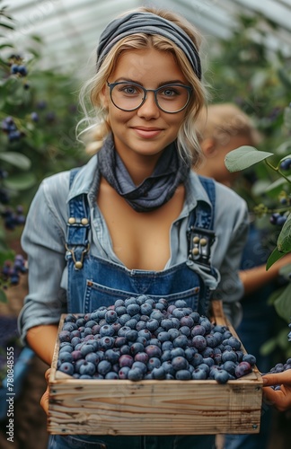 Harvesting ripe blueberries in the greenhouse, a woman carries a full wooden box of fresh berries