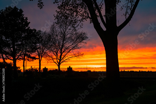 Trees are silhouetted against a fiery cloud sky during sunset