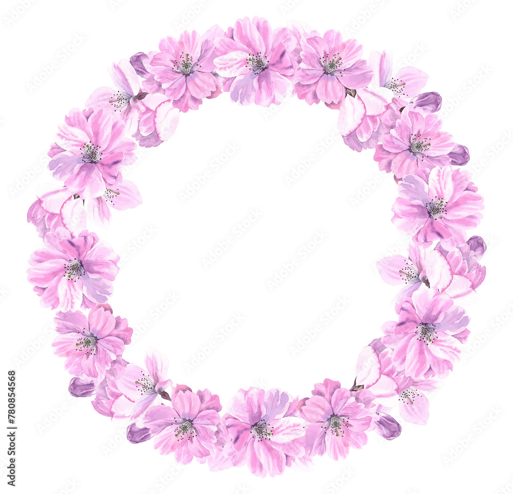 Spring sakura cherry blooming flowers border wreath. Watercolour flower round decor hand drawn illustration. Seasonal. Painted botanical floral elements. Isolated on white background. Greeting cards