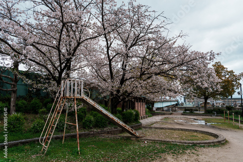 桜の咲く公園と古い滑り台