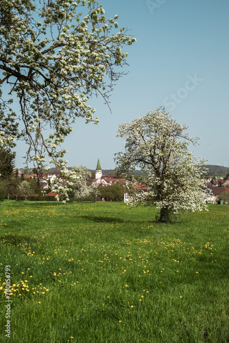 South germany rural landscape spring