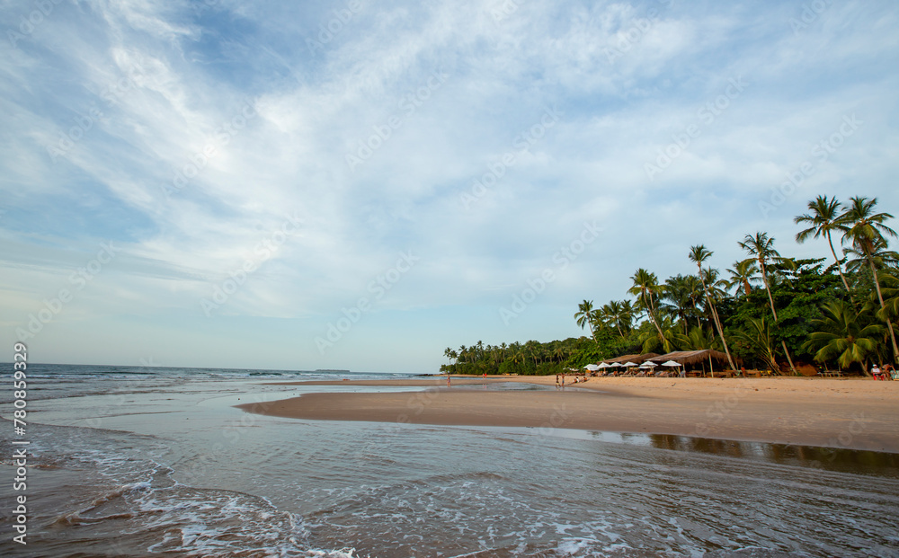 Praia do nordeste brasileiro com banhistas e luz suave de entardecer. Vegetação e coqueiros típicos do Brasil