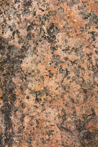 Background of Åland rapakivi granite, red brown rock with crystals of orthoclase photo