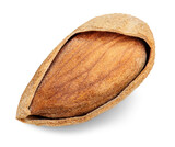  Almond nut with cracked almond shell isolated on white background. Almond package design element. .