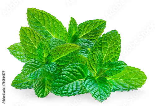 Mint leaves isolated on white background. Fresh peppermint on white background. Mint leaves closeup