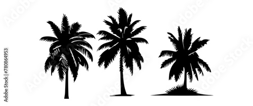 Black palm trees set isolated on white background. Palm silhouettes. Design of palm trees for posters  banners and promotional items. Vector illustration