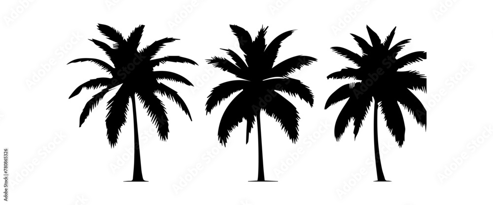 Black palm trees set isolated on white background. Palm silhouettes. Design of palm trees for posters, banners and promotional items. Vector illustration