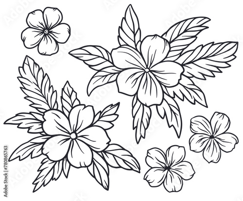 Summer flower set for Hawaii beach. Exotic plant collection, tropical palm leaves and nature tropic blooms for floral design. Monochrome outline style or black and white lines