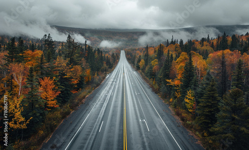 Empty Highway Through Autumn Canadian Shield
