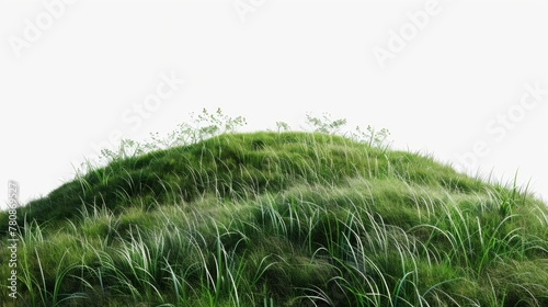Scenic view of grassy hill, perfect for nature backgrounds