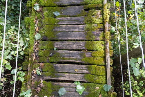 Old Moss-Covered Wooden Suspension Bridge in a Lush Green Forest