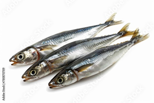 Isolated European anchovy on white background with clipping path
