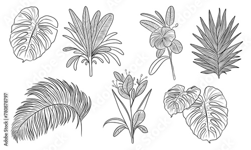 A collection of hand-drawn tropical plants, including Monstera leaves and exotic flowers, perfect for botanical-themed designs
