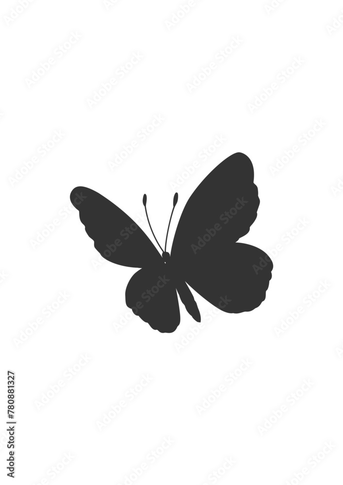Vector hand drawn butterfly illustration design. insect vector design . Vector hand drawn butterfly illustration design. insect vector design .