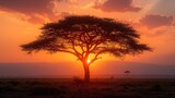   Giraffe beside tree in field, sunset backdrop
