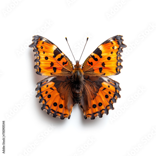 Large Orange Butterfly With Black Spots. Generative AI