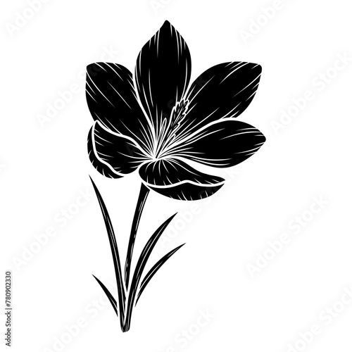 Vector crocus flower silhouette illustration  saffron floral silhouette drawing. Wildflower sketch. Hand drawn botanical outline art. Isolated design element for background  pattern  logo.