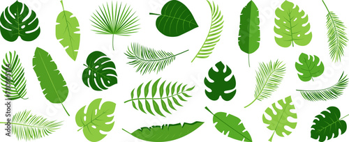 Palm leaf, tropical tree, banana leaves, jungle plant, exotic foliage vector icon. Cartoon summer fern, botanical collection, simple green set isolated on white background. Hawaiian illustration